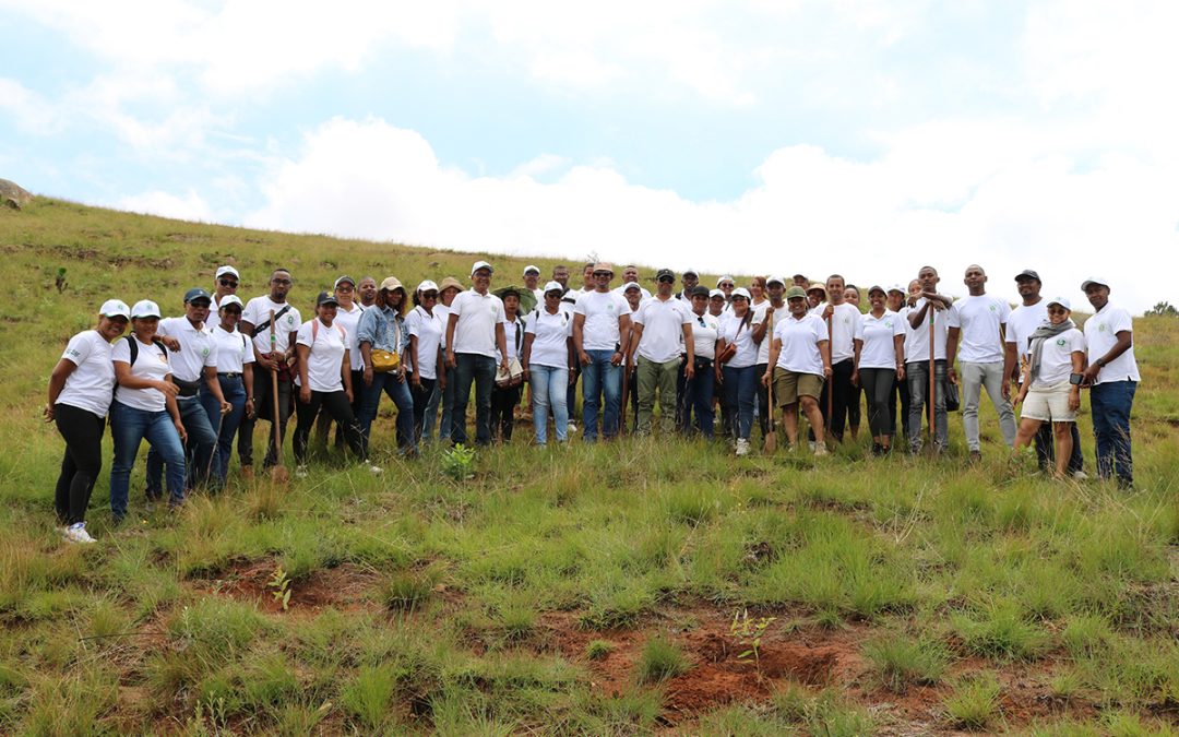 REBOISEMENT 2025 : « NY ALA, ANTOKY NY RANO SY NY ANGOVO »